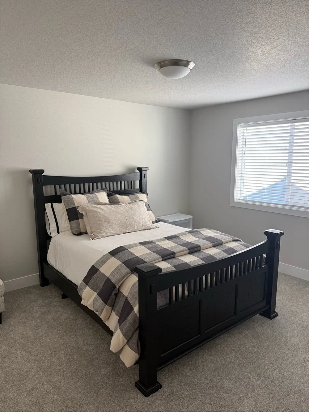 Pottery Barn Bryce Buffalo Check Duvet & Shams